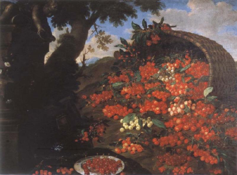 Bartolomeo Bimbi Cherries oil painting picture